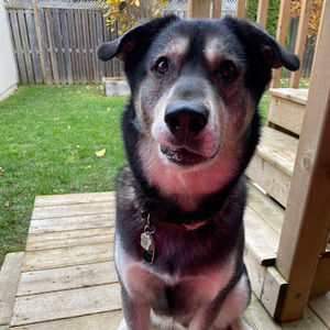 Meet your Posher, Cassie